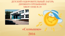 Презентация Работа лдп в школе