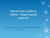 Проект на тему: Зима - Новогодние чудеса!