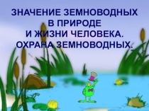 Презентации по зоологии на тему Значение земноводных в природе и жизни человека