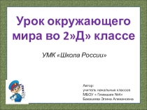 Презентация урока по окружающему миру на тему: Берегись автомобиля (2класс)