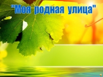 Презентация Моя улица родная