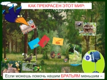 Презентация Птицы Пуровского района