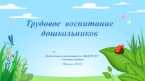 Трудовое воспитание дошкольников. Посадка лука.