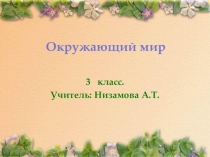 Презентация по окружающему миру на тему: Дикорастущие и культурные растения
