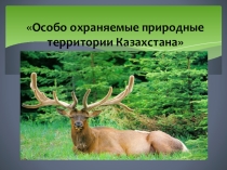 Презентация по географии на тему Особо охраняемые территории казахстана