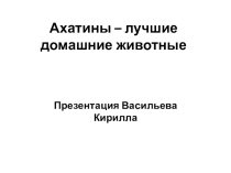 Презентация по биологии на тему Ахатины
