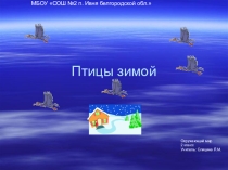Презентация по окружающему миру Птицы зимой (2 класс)