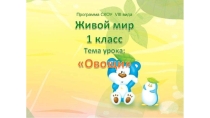 1 класс СКОУ 8 вида