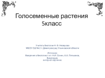Презентация по биологии на тему Голосеменные растения (5 класс).
