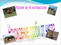 Презентация по математики Нахождение дроби от числа