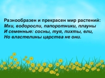 Презентация по биологии на тему Покрытосеменные