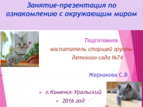 Занятие-презентация по окружающему миру