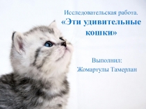 Презентация исследовательской работы для 3 класса