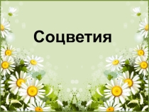 Презентация по биологии Соцветия. Биологическая роль соцветий