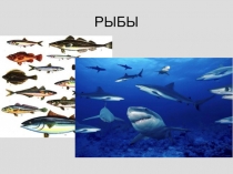 Правила переноса слов 2 класс Школа России