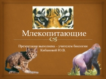 Презентация Млекопитающие 8 класс