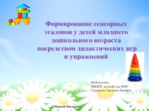 Формирование сенсорных эталонов у детей младшего дошкольного возраста посредством дидактических игр и упражнений
