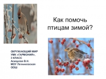 Презентация к уроку окружающий мир по теме Как помочь птицам
