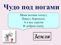 Презентация к уроку окружающего мира 3 класс Чудо под ногами