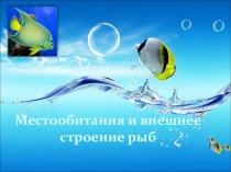 Презентация по биологии на тему Местообитания и внешнее строение рыб (7 класс)