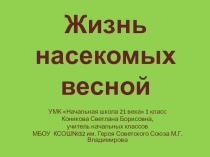 Презентация по окружающему миру Жизнь насекомых весной