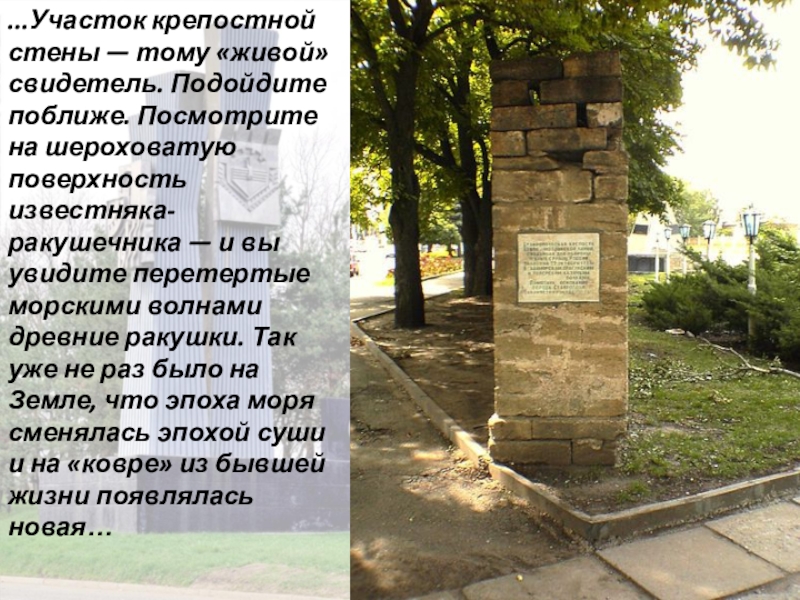 Презентация Город Креста ...Участок крепостной стены — тому «живой» свидетель. Подойдите поближе. Посмотрите на ...Участок крепостной стены — тому «живой» свидетель. Подойдите поближе. Посмотрите на шероховатую поверхность известняка-ракушечника — и вы