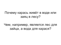 Презентация по биологии 5 класс на тему Среды обитания