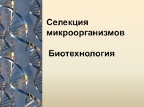 Презентация по биологии на тему Селекция микроорганизмов