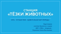 Методическая разработка открытого мероприятия Тезки животных