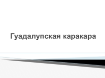 Презентация Гуадалупская каракара 11 класс
