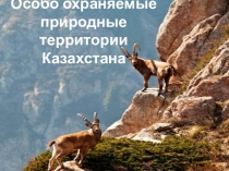 Презентация Особо охраняемые природные территории Казахстана, 8 класс