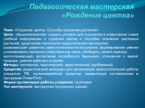 Педагогическая мастерская Рождение цветка