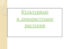 Презентация по окружающему миру на тему: Растения