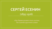 Презентация по литературе 11 класс. Сергей Есенин.