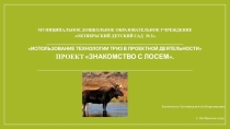 Проект Знакомство с лосем.