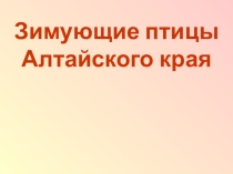 Проект Покормите птиц зимой