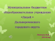 Отчет о проделанной работе муниципального бюджетного общеобразовательного учреждения Лицей Дальнереченского городского округа, 2014