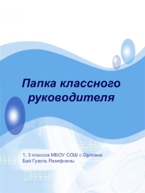 Папка классного руководителя Бай Г. Р.