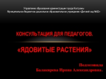 Консультация для педагогов Ядовитые растения