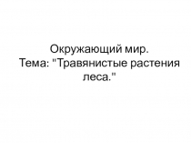 Презентация к уроку окружающего мира  Травянистые растения леса.