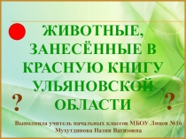 Презентация внеклассного занятия в рамках программы РИП Животные Ульяновской области, занесённые в Красную книгу