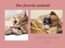 Our favorite animals