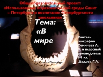Презентация по естесствознанию В мире акул (8 класс)