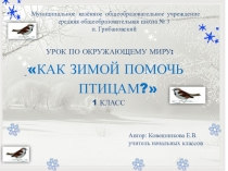 Презентация к уроку по окружающему миру  Как зимой помочь птицам? (1 класс)