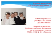 Проект Как путешествует письмо