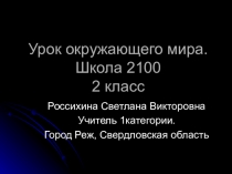 Презентация по окружающему миру на тему Смена Времён года