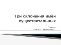 Три склонения имен существительных. Подготовка к проверочной работе