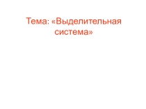 Презентация к уроку Выделительная система