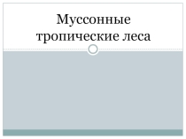 Презентация по географии Муссонные леса тропических областей