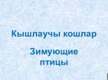 Презентация по татарскому языку Кышлаучы кошлар
